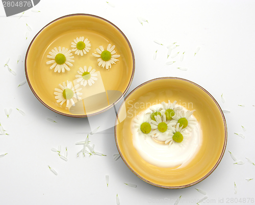 Image of Camomile blooms in water and cream in ceramic bowls surrounded by white petals