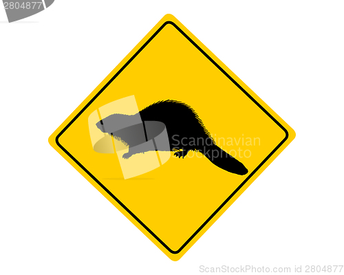 Image of Beaver warning sign