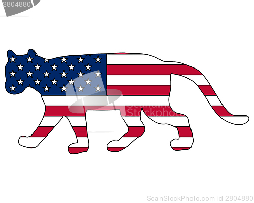 Image of Cougar USA