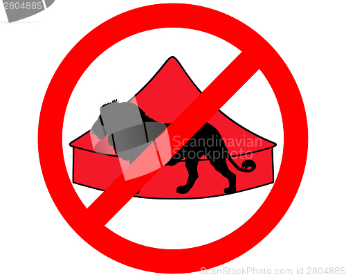 Image of Lion in circus prohibited