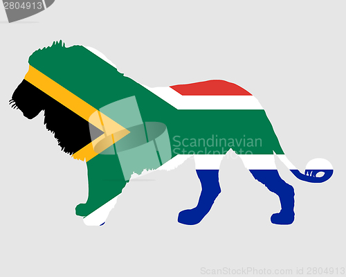 Image of Lion South Africa