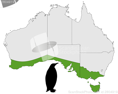 Image of Little penguin range