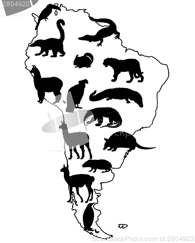 Image of Animals South America