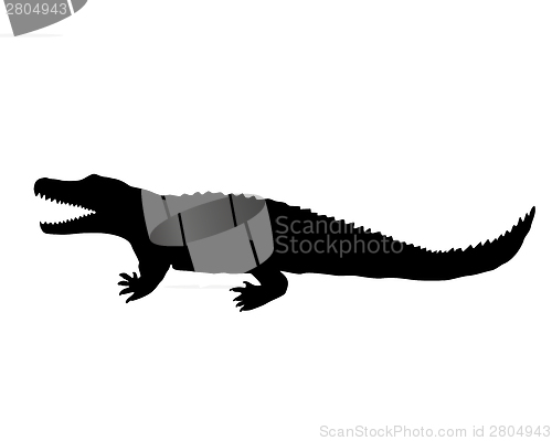 Image of Nile crocodile silhouette