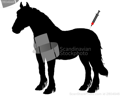 Image of Immunization for horses