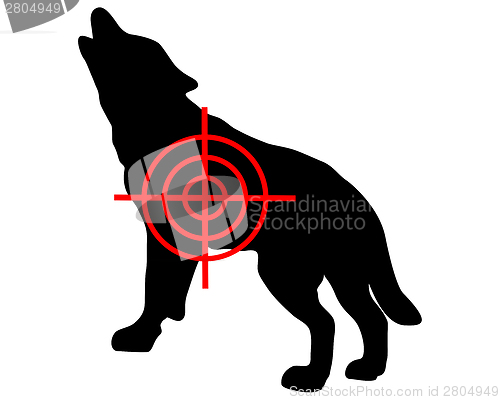 Image of Gray wolf crosslines