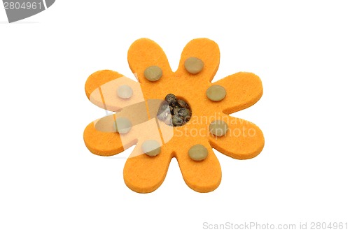 Image of Lentils and felt decoration