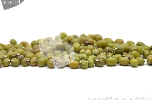 Image of Sprouting mung bean