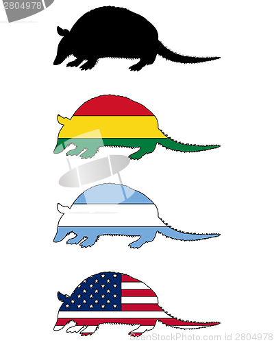 Image of Armadillo flags