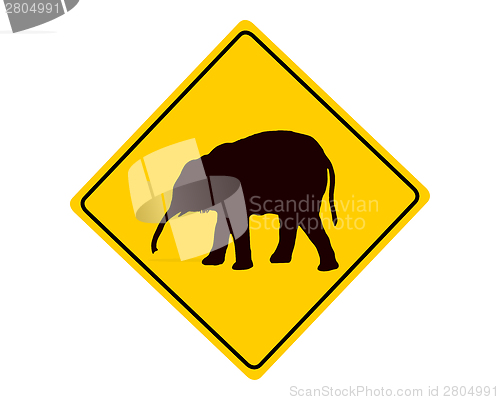 Image of Young elephant warning sign