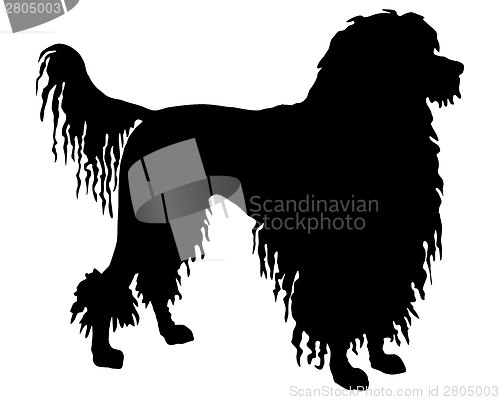 Image of The black silhouette of a Portuguese Water Dog