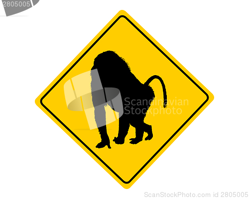 Image of Baboon warning sign