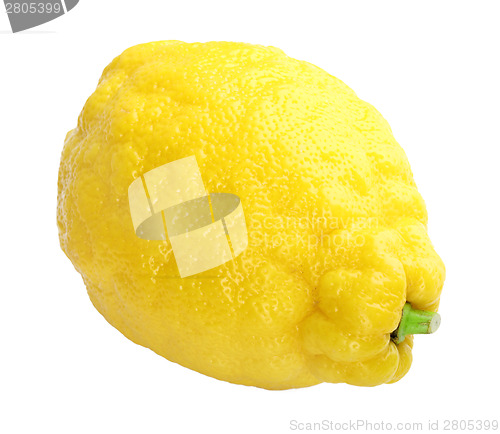 Image of Single fresh yellow lemon