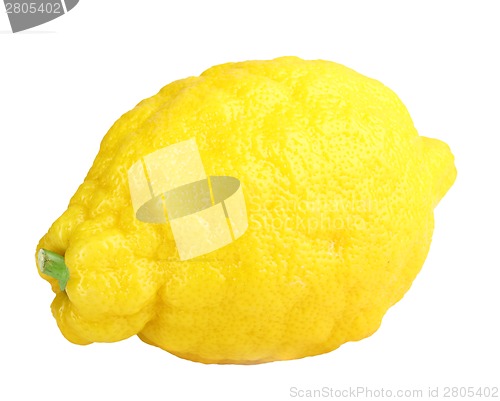 Image of Single fresh yellow lemon