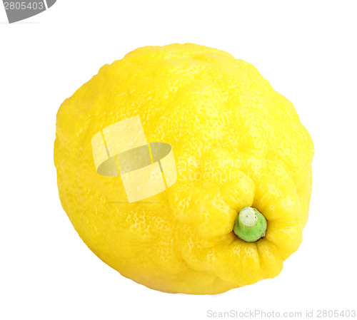 Image of Single fresh yellow lemon
