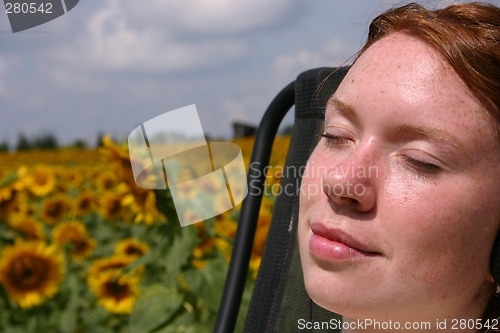 Image of Warmth of the Sun