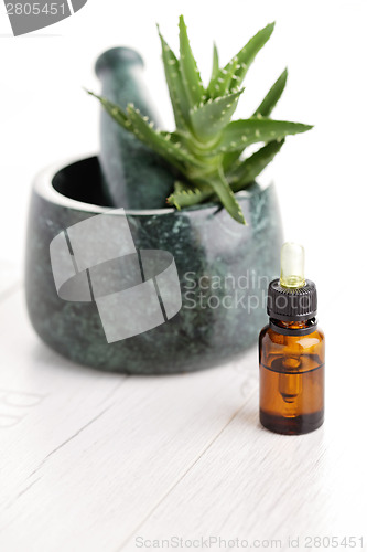 Image of aloe vera essential oil