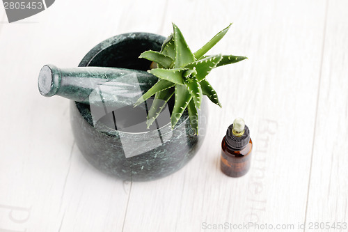 Image of aloe vera essential oil