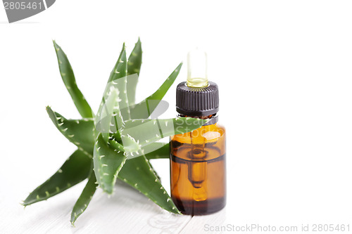 Image of aloe vera essential oil