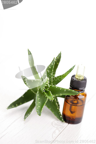 Image of aloe vera essential oil