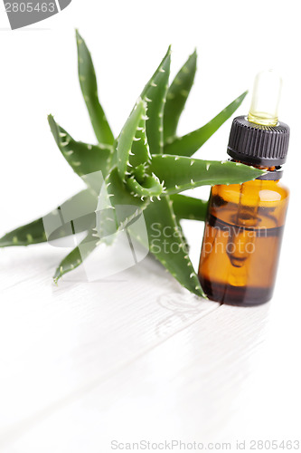 Image of aloe vera essential oil