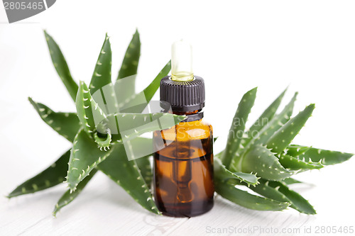 Image of aloe vera essential oil