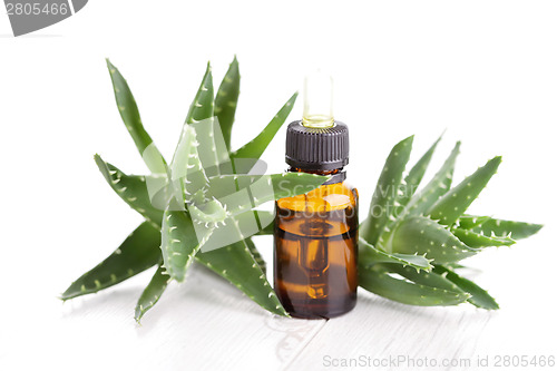 Image of aloe vera essential oil