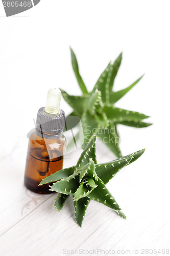 Image of aloe vera essential oil