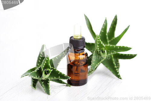 Image of aloe vera essential oil