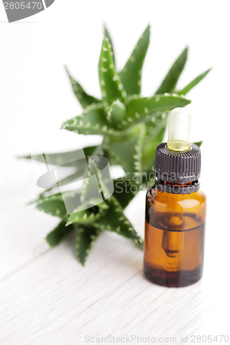 Image of aloe vera essential oil