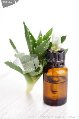 Image of aloe vera essential oil