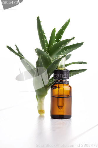 Image of aloe vera essential oil