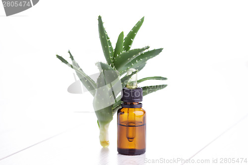 Image of aloe vera essential oil