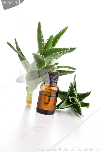 Image of aloe vera essential oil