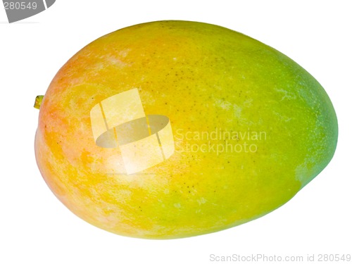 Image of Mango
