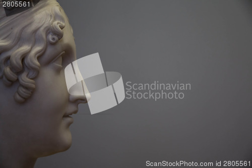 Image of Classical beauty