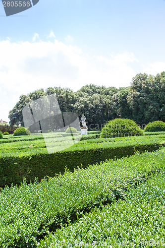 Image of Italian garden