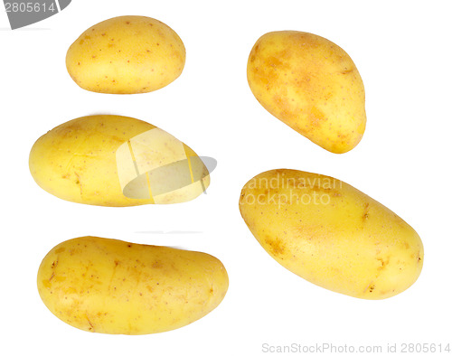 Image of Several yellow raw potatos