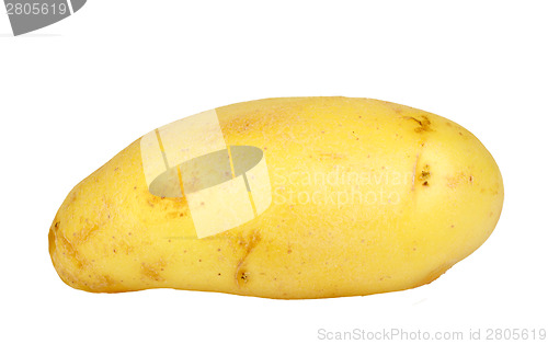 Image of Single yellow raw potato