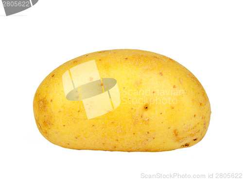 Image of Single yellow raw potato