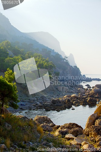 Image of Coastal Landscape