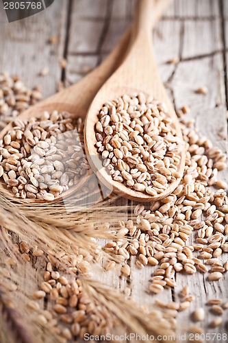 Image of wheat grain in wooden spoons