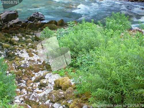 Image of The coast of the mountain river in the mountains of Abkhazia.