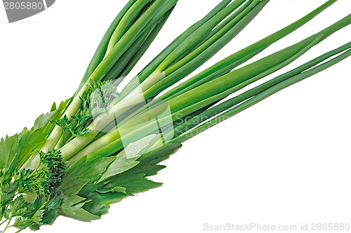Image of Green onions, parsley and sorrel on a white background