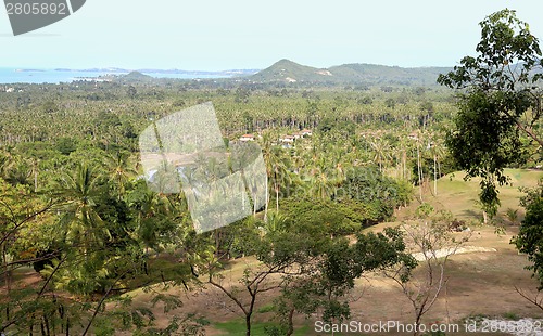 Image of tropical landscape