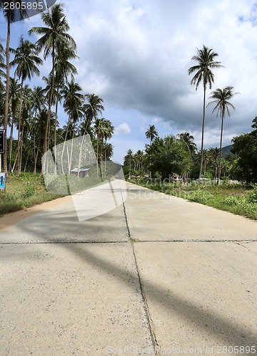 Image of The road in the jungle