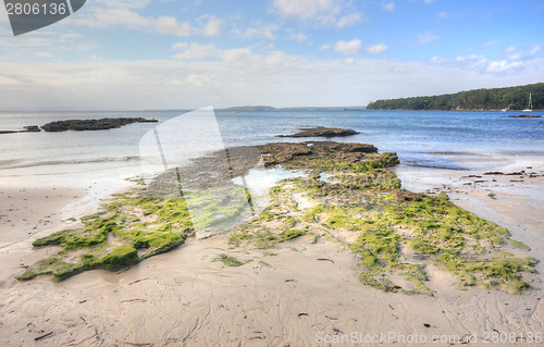 Image of Moss covered rocks and rock pools 