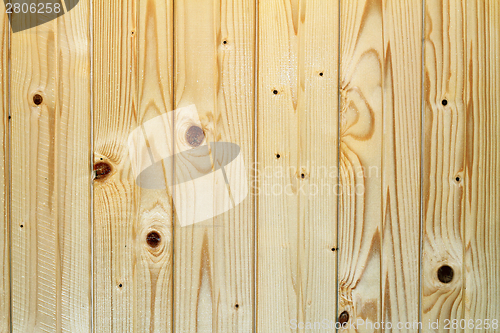 Image of spruce wainscot  texture