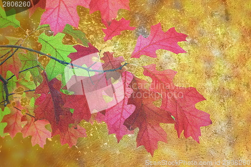 Image of artistic distressed autumn image