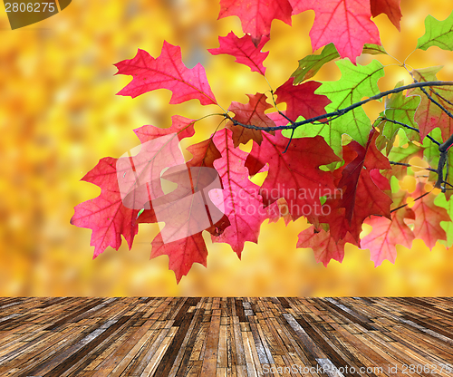 Image of beautiful red leaves over veranda